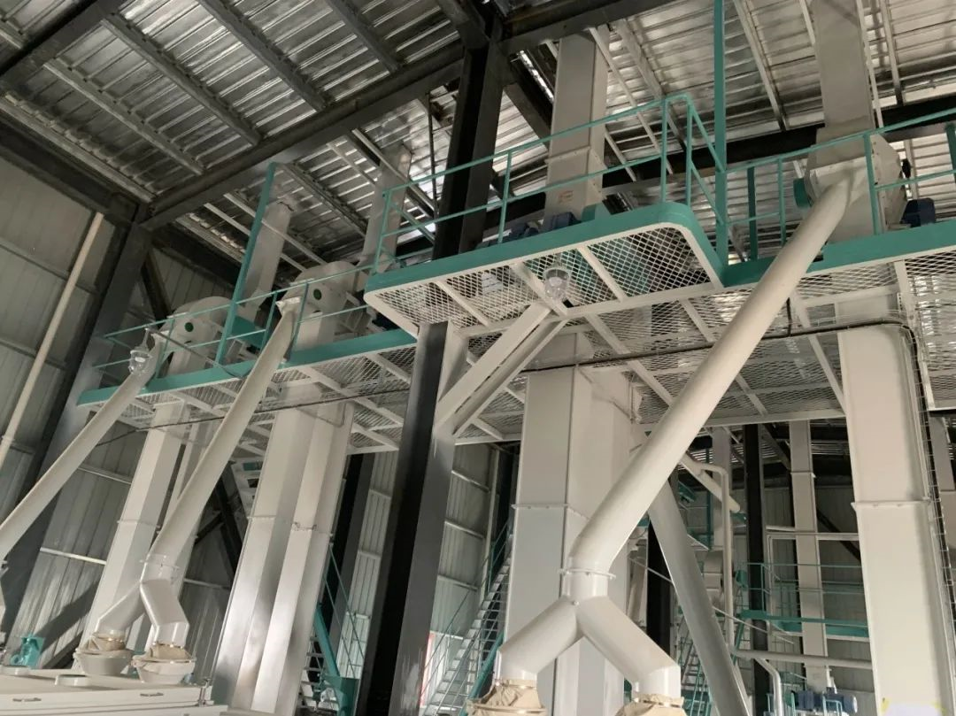 Continue to build the “Project with three advantages”! Final acceptance of FDSP's 3*SZLH520 poultry feed production line