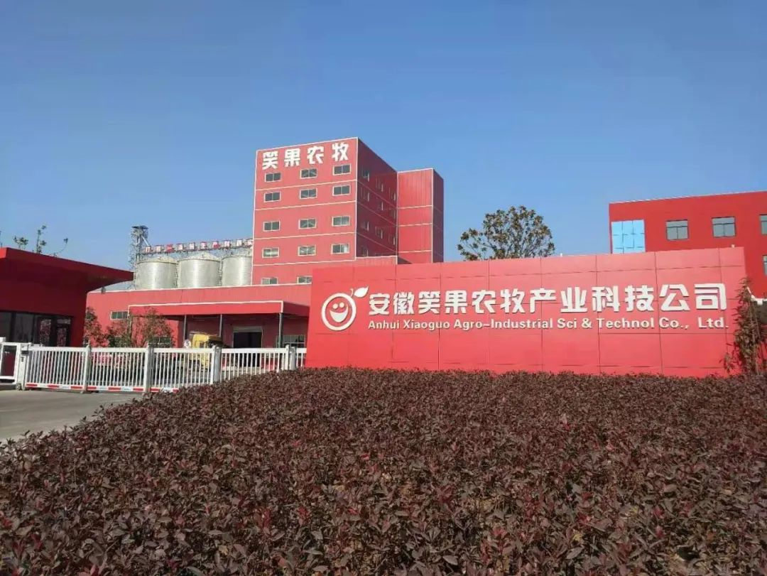 Anhui double-line SZLH420 livestock and poultry feed production line completed and put into production