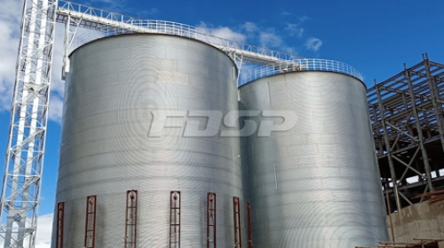 Witness FDSP efficiency! Yunnan Red River Free Trade Zone Phase I 2 × 3000T silo project installatio
