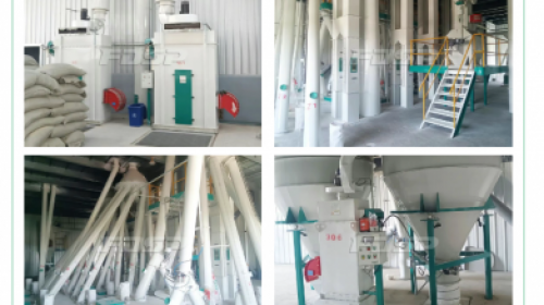 SFYH1000 premix production line contracted to build by FDSP in Shandong successfully put into produc