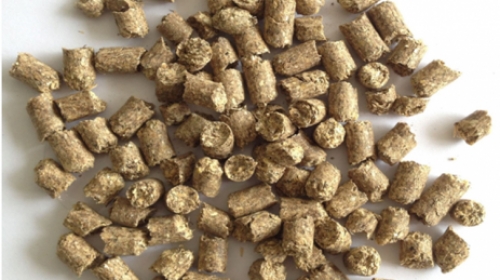 How to check the quality of pellet in feed factory